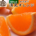 【ふるさと納税】＜2月より発送＞家庭用 清見オレンジ3kg+90g（傷み補償分）【光センサー食頃出荷】【わけあり・訳あり】