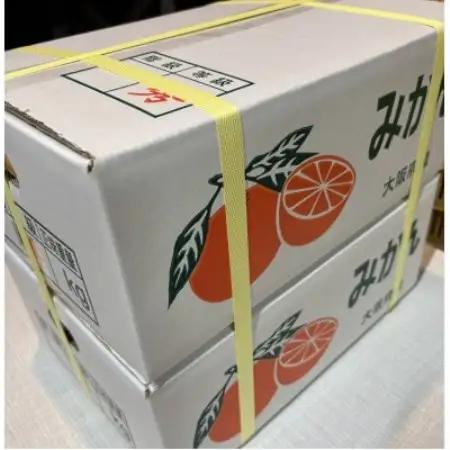 先行予約　大阪府和泉市産 宮川早生みかん5kg2ケース(1梱包) 11月中頃より発送【1672212】