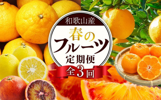 
                  定期便全3回 【2月・3月・4月発送】 和歌山の春の柑橘 （ポンカン・はるか・ブラッドオレンジ）秀品【TM173】
                