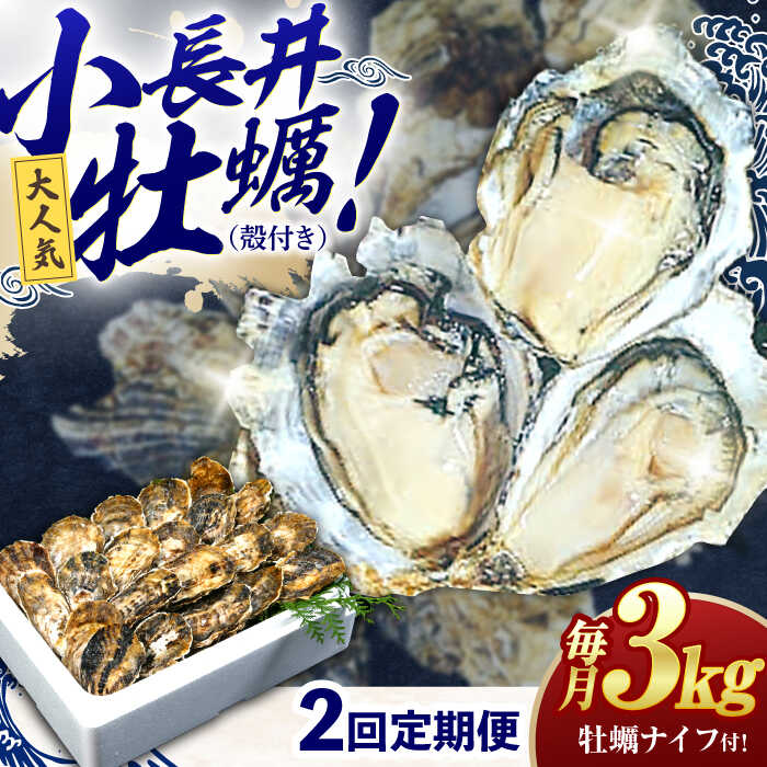 【ふるさと納税】【2回定期便】長崎県諫早市小長井牡蠣(殻付きカキ)3kgカキナイフ付き / 牡蠣 かき　カキ 小長井牡蠣 貝 / 諫早市 / 諫早湾漁業共同組合[AHBJ010]