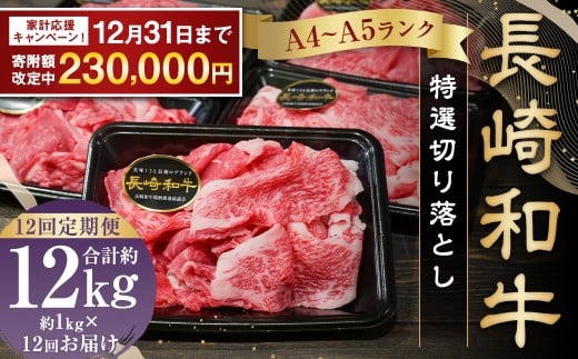 【期間限定！～12月31日まで寄附額改定】全12回定期便 A4～A5ランク 長崎和牛 特選 切り落とし 約1kg (200g×5パック) お肉 牛肉 肉 牛 和牛 国産牛 国産