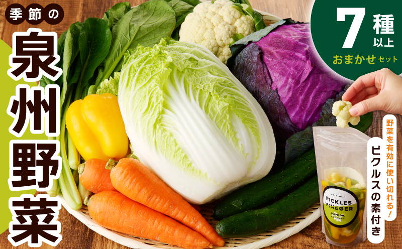 【スピード発送】季節の泉州野菜 7種 おまかせセット ピクルスの素 1袋付き いずみピクルス NSW【大阪 泉佐野 大阪府 泉佐野市】