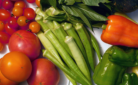 No.058 ガバレ農場の季節の有機野菜詰め合わせセット