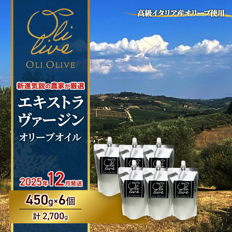 【ふるさと納税】高級イタリア産 エキストラ・ヴァージン・オリーブオイル 450g×6個【2025年12月中旬より順次発送】調味料 油 オリーブ油 食用油 静岡県 袋井市　お届け：2025年12月10日～2025年12月15日まで
