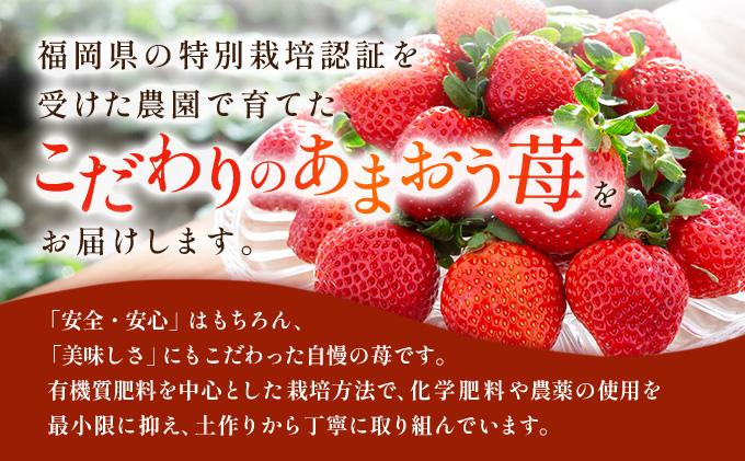 福岡県産 特別栽培 あまおう サイズいろいろMIX 約570g（約285g×2パック）【1～2月発送】　農園直送 アフター保証 先行予約 福岡産 送料無料 ケーキ ギフト お祝い 限定 季節限定 UN