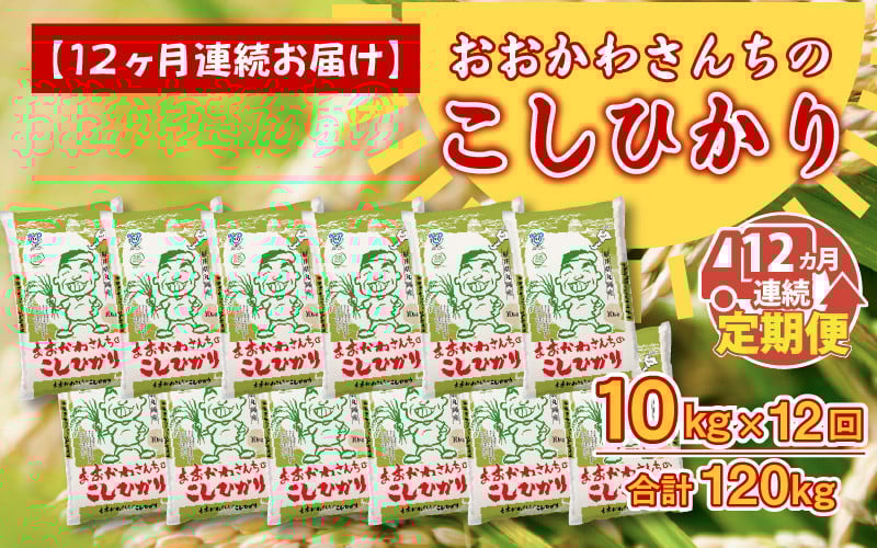 
            【令和7年産】 【12ヶ月連続お届け定期便】おおかわさんちのコシヒカリ 10kg × 12回 【コシヒカリ 米 おこめ 精米 10キロ ブランド米 国産】 [P-10801]
          