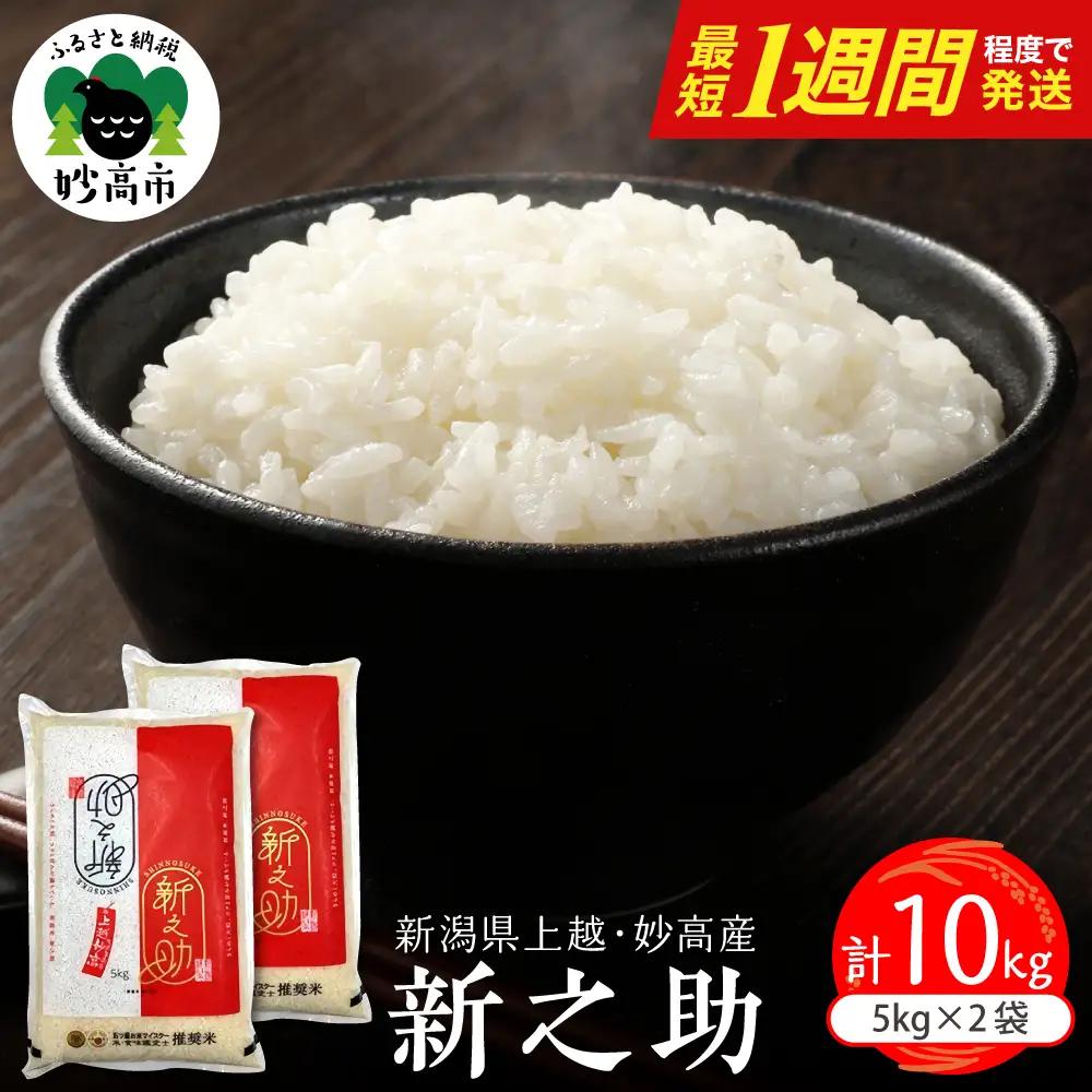【最短1週間程度発送】 新潟県上越妙高産 新之助 10kg