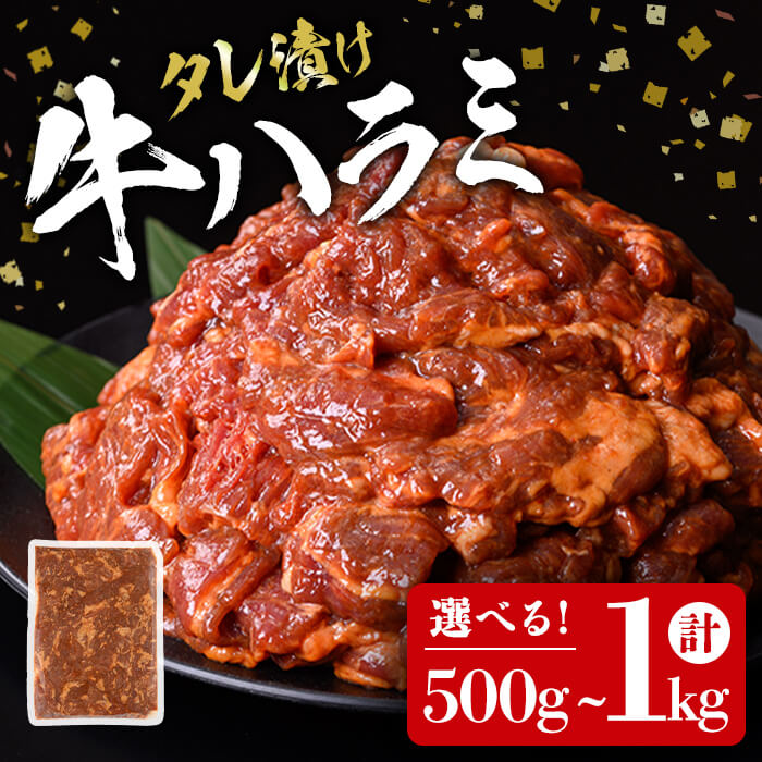 【ふるさと納税】ミートプロフェッショナル タレ漬け牛ハラミ焼肉 500g～1kg ＜選べる内容量＞ 肉 牛 牛肉 ハラミ 味付き 冷凍 焼肉 BBQ 【エスフーズ株式会社】 tm400・tm401