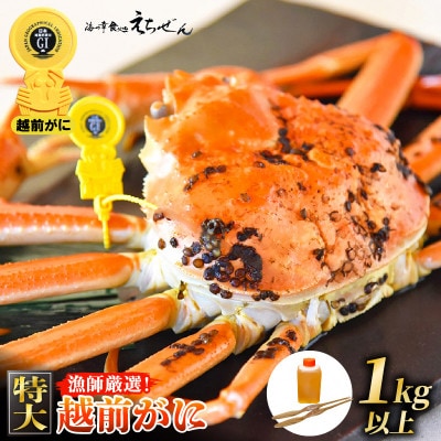 ≪浜茹で≫ 越前がに 特大 1杯 かに酢 食べ方QRコード付き【1月より発送】【配送不可地域：離島・北海道・沖縄・東北・関東・中国・四国・九州】【1514976】