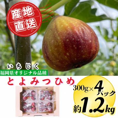 ふるさと納税 広川町 【2025年9月中旬より順次発送】とよみつひめ 約1.2kg(約300g×4パック)(広川町)