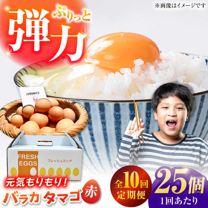 【ふるさと納税】【全10回定期便】【箱入り】バラカタマゴ 25個入 M〜Lサイズ 卵 玉子 たまご 国産 五島市 / 五島列島大石養鶏場[PFQ059]