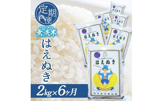 【6回定期便】無洗米 はえぬき　2kg×6回(計12kg) SA SE0562