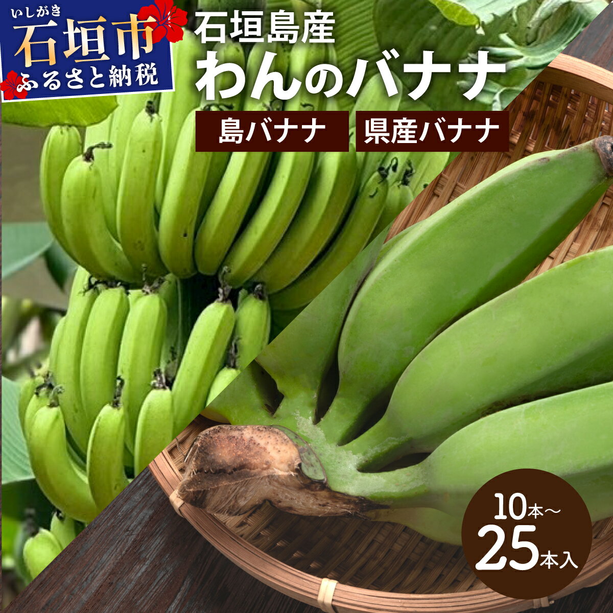 【ふるさと納税】＜選べる品種＞＜わんのバナナ＞石垣島産バナナ【沖縄県産バナナ/合計約 3kg】【島バナナ/合計約 1.5kg】