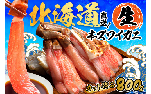 北見市加工 生冷本ズワイガニセット 800g 昆布入 ( 海鮮 魚介類 魚介 蟹 かに カニ セット 鍋 カニ鍋 カニ爪 ズワイガニ かにしゃぶ カット済 贈答 ギフト 熨斗 のし ふるさと納税 )