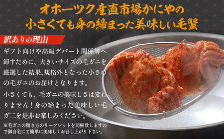 【訳あり】活〆茹で毛蟹1尾 約300g 【ふるさと納税 人気 おすすめ ランキング カニ かに 蟹 毛がに 毛蟹 毛ガニ 活〆 茹で 茹で毛ガニ 活〆毛ガニ 活〆毛がに 訳あり 海鮮 オホーツク 北海
