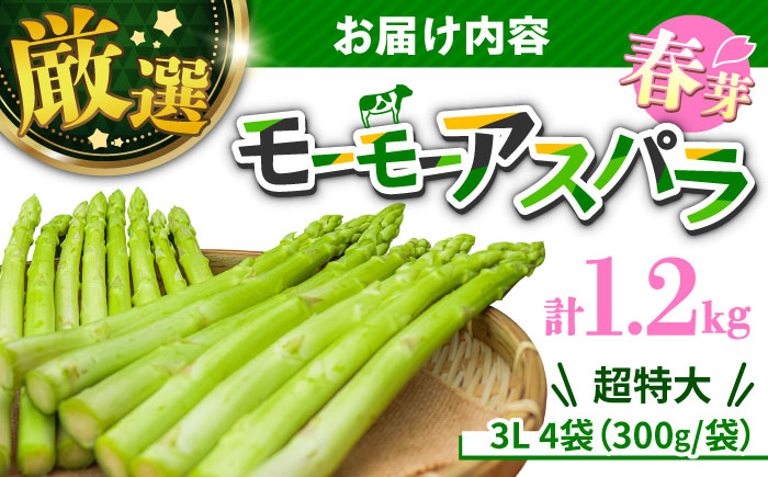 【先行予約】数量限定！モーモーアスパラ春芽 3L 1.2kg（3月下旬より順次発送） 超極太のみ厳選！ 1.2kg アスパラガス 日田市 / 有限会社本川牧場 [ARAI033]