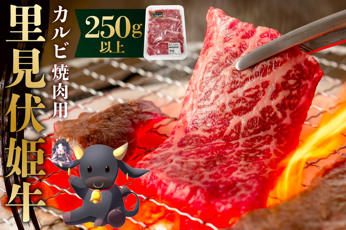 
            里見伏姫牛　カルビ焼肉用250g以上 mi0119-0001 【肉 食品 焼肉 BBQ バーベキュー 家族 ファミリー お取り寄せ グルメ】
          
