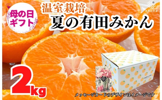 
                  【母の日ギフト】ハウスみかん 温室栽培 夏の有田みかん 2kg 秀品 L M Sサイズのいずれか 和歌山県産 産地直送 【みかんの会】
                