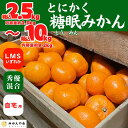 【ふるさと納税】熟成 みかん 箱込2.5kg～10kg SMLサイズのいずれか 秀品 優品 混合 和歌山県産 産地直送 贈答用 【みかんの会】 | 和歌山 フルーツ 果物 くだもの かんきつ 柑橘 柑橘類 みかんの会 送料込み 送料無料