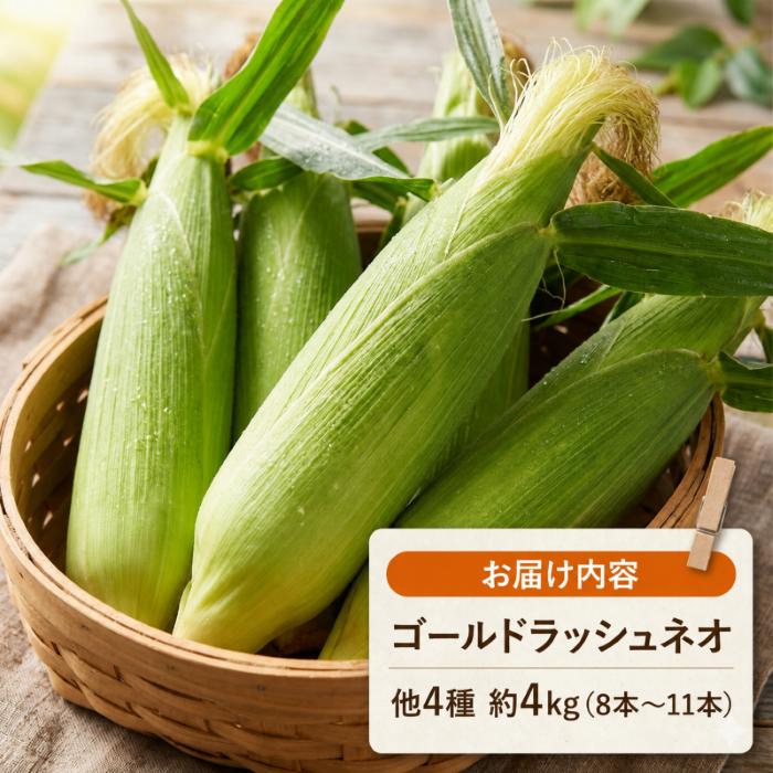 【2027年先行予約】南国フルーツコーン イエロー種 4kg(約8～11本) | ゴールドラッシュネオ とうもろこし トウモロコシ コーン スイートコーン フルーツとうもろこし もぎたて 新鮮 朝採れ 朝どり 夏野菜 旬 期間限定 数量限定 産地直送 農家直送 フルーツのような甘さ 甘い 激甘 皮付き 家庭用 高知県 南国市 BBQ バーベキュー キャンプ アウトドア