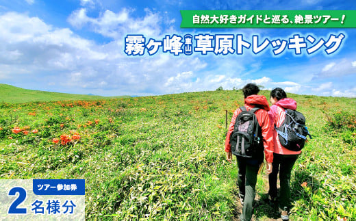 【霧ヶ峰(車山)草原トレッキング】～自然を感じて、五感を使う　のんびり山歩き～ツアー参加券２名様分／八ヶ岳登山企画 トレッキング 体験 アウトドア 子供 小学生 チケット ペア 観光 長野 諏訪 ガイド付き 【88-07】