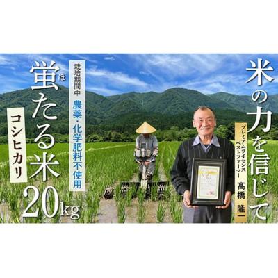 ふるさと納税 最上町 【令和7年産】特別栽培米　蛍たる米コシヒカリ(玄米)20kg