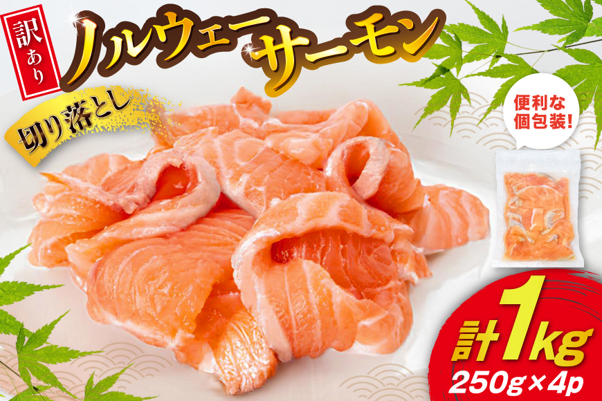 訳あり 無添加 ノルウェー産 アトランティックサーモン 切り落とし おさしみ用 1kg 250gx4p [足利本店 宮城県 気仙沼市 20565567] サーモン さけ サケ 魚介類 鮭 尾っぽ はしっこ お刺し身 刺し身 刺身 個包装 海鮮 魚介 魚 小分け 冷凍 真空包装 ノルウェー