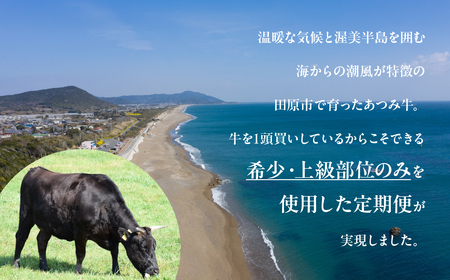 超厳選!あつみ牛希少部位定期便 4回お届け あつみ牛 牛 牛肉 シャトーブリアン ロース カルビ サーロイン 赤身 焼肉 ステーキ 定期便 肉 サーロイン サーロインステーキ ステーキ 田原市 渥美フ