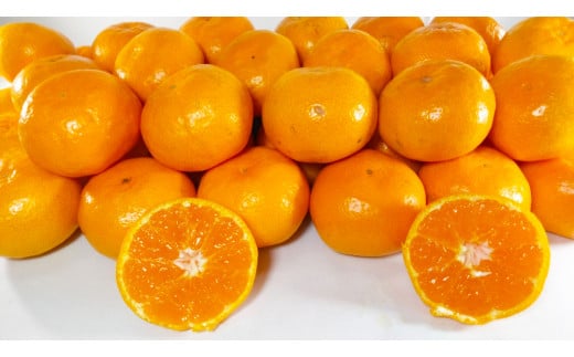 熊本県産 みかん 【手選別まごころ選果】 約3kg サイズ 2L～S 蜜柑 ミカン フルーツ 果物 くだもの 柑橘 熊本産 九州産【2025年10月下旬～2026年2月上旬迄発送予定】