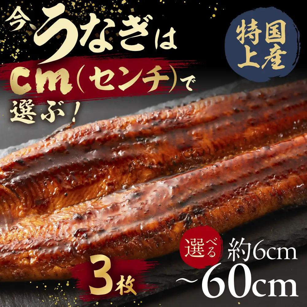 【うなぎ蒲焼　18cm（6cm×3枚）】今、うなぎはセンチで選ぶ！ 長さ選べる 国産 うなぎ蒲焼 カット鰻 うなぎ ウナギ unagi カット済 うな重 冷凍 うな丼 ストック 蒲焼 タレ付 選べる 簡単 簡単調理 訳あり 規格外 人気 三河  愛知県 豊橋市