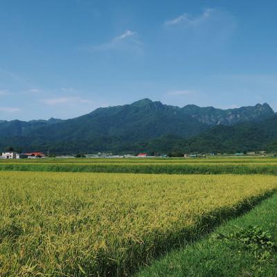 ふるさと納税 富良野市 【玄米】令和7年産米　富良野産　栽培期間中出来るだけ農薬を減らして作った　ななつぼし　10kg |  | 01