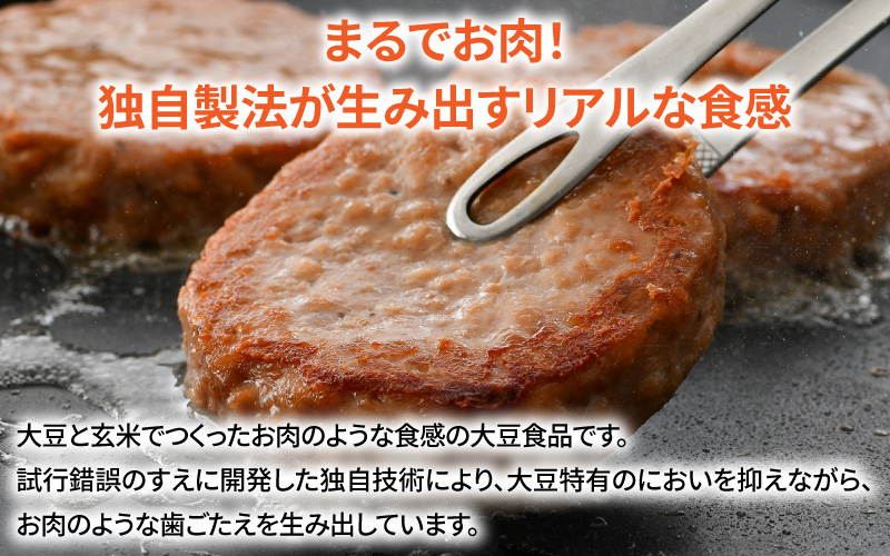 大豆と玄米のベジミート3種セット　計18袋（各6袋）
