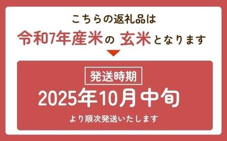 令和7年産新米 特別栽培米 コシヒカリ 5kg | コシヒカリ 茨城県 龍ケ崎市