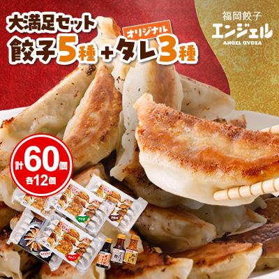 ふるさと納税 大牟田市 福岡エンジェル餃子の大満足セット