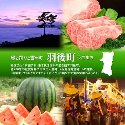 ふるさと納税 羽後町 秋田のおふくろの味 にしんの昆布巻き 3本[No.5325-0503] |  | 03