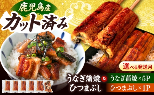 鹿児島産 うなぎ 蒲焼 カット と ひつまぶし 贅沢 セット ▼個包装 タレ付き 刻みうなぎ きざみ  国産 うなぎ 鰻 ウナギ 蒲焼 九州 福岡 桂川町/山水商事 [ADAH025]