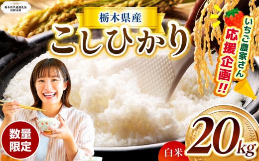 数量 限定  訳あり 定期便 令和8年度 栃木県産 コシヒカリ 約 20kg | 数量限定 こしひかり  精米 白米 米 ごはん おいしい  密閉パック ふるさと納税 那珂川町 栃木県【栃木県共通返礼品】