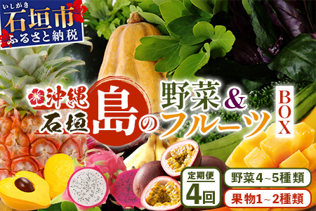 【4回定期便】沖縄県 石垣島の野菜・フルーツBOX ≪野菜4～5種類、フルーツ1~2種類≫（1箱×4回）じょーとーまーさん(とても美味しい) 石垣島の野菜とフルーツの詰め合わせセットをお楽しみください！！CK-5