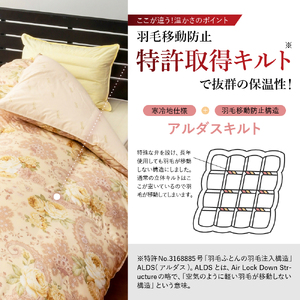 羽毛移動防止 特許構造 ホワイトグース ダウン 90％ 羽毛増量タイプ 掛け布団 360dp ダブル ブルー ゼオテックス プリント 抗菌 消臭 防ダニ 温熱 調湿 作用