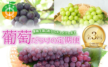 2026年先行予約 【定期便 3回】葡萄だらけの定期便 デラウェア スチューベン シャインマスカット ぶどう 葡萄 果物 フルーツ 山形県 中山町 F4A-0445