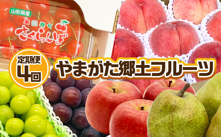 
            【定期便4回】やまがた 郷土フルーツ定期便 佐藤錦・やわらかめ白桃・シャインマスカットとピオーネ・りんごとラ・フランス 【令和7年産先行予約】FU23-929 くだもの 果物 フルーツ 山形 山形県 山形市 2025年産
          