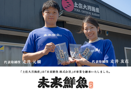旬のお刺身用 柵セット 9～12種 高知 海鮮 盛り合わせ 食べ比べ 鮮度抜群 刺し身 グルメ 酒の肴