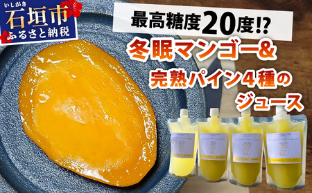 《8月以降順次発送》最高糖度20度！？冬眠マンゴーと完熟パイン4種のジュース 