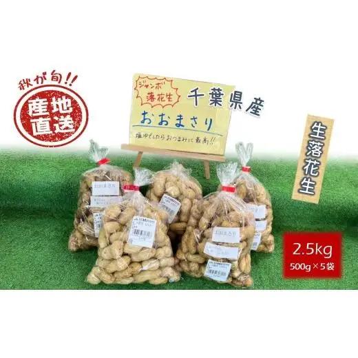 【今秋収穫分】落花生 おおまさり 2.5kg 殻付き 予約受付 生落花生 千葉県産 ピーナッツ 大粒 産地直送