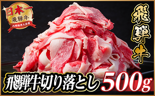飛騨牛　切り落とし　約500g【冷蔵便】A4～A5等級 黒毛和牛 小分け【配送不可地域：離島】