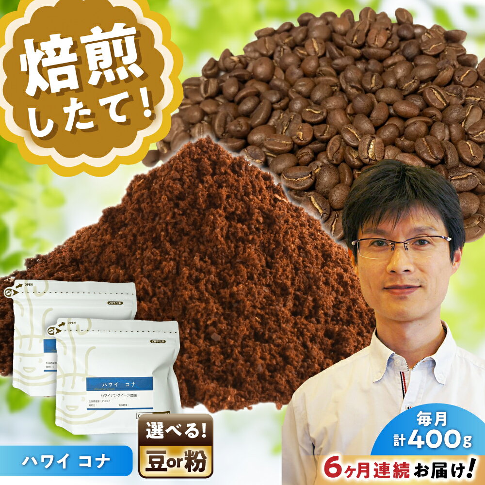 【ふるさと納税】【全6回定期便】[選べる豆 or 粉] ハワイ・コナ 200g×2個 / 珈琲 コーヒー / 瀬戸市 / Coffee　SAKURA[BBAB068]