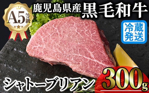
                  ＜新鮮チルド希少部位＞鹿児島県産A5黒毛和牛“極厚”シャトーブリアン (計300g・300g×1枚) 冷蔵 チルド シャトーブリアン 希少部位 ヒレ【KNOT】 D53
                
