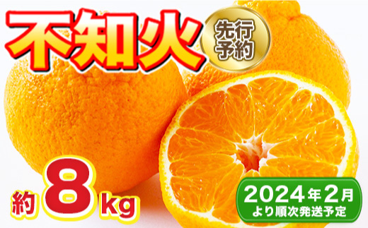
                  【2月以降順次発送】不知火 約8kg 18～28玉  [FBT051]
                