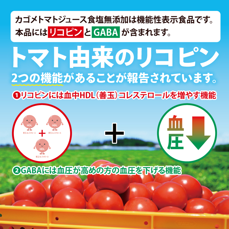 【3回定期便】カゴメトマトジュース 食塩無添加 720ml×15個｜KAGOME とまと 野菜 リコピン GAVA 機能性表示食品（93-200）