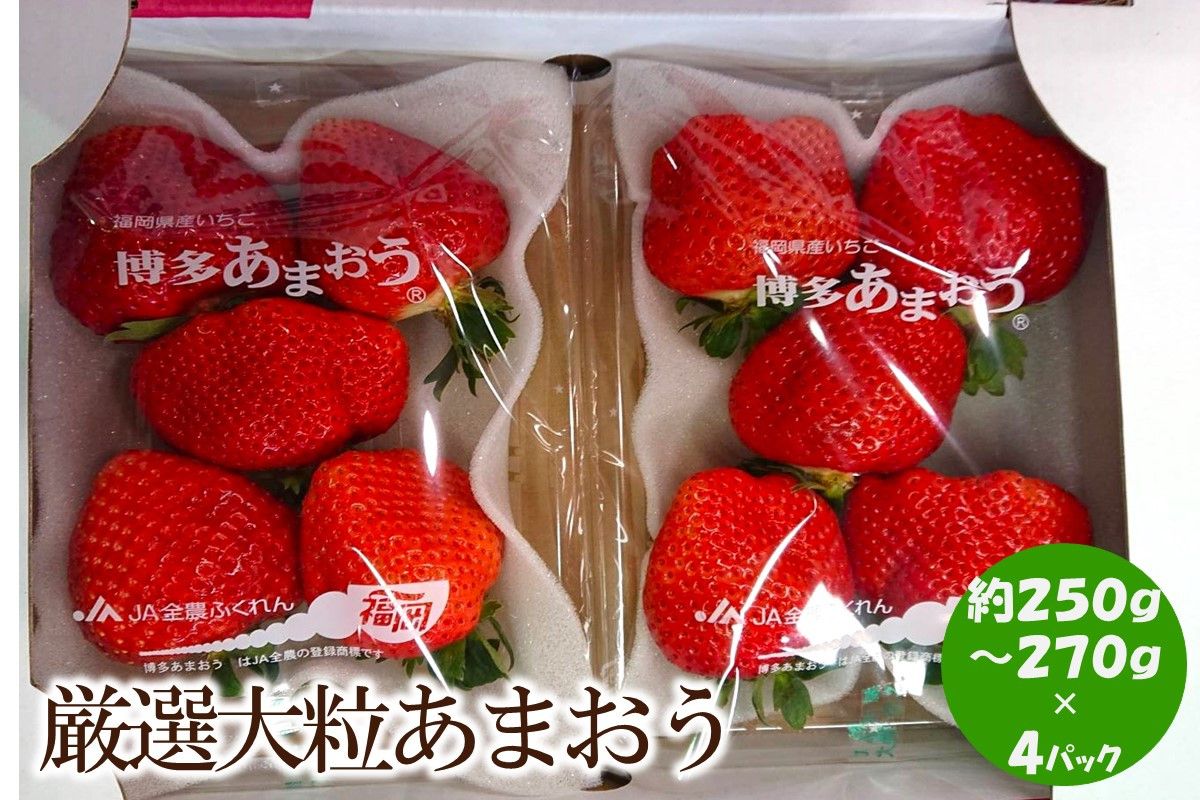 
            【2025年先行予約】厳選大粒あまおう(約250-270g×4パック)【044-0014】
          